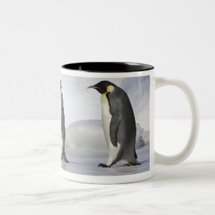Three Emperor Penguins, Snow Hill Island Two-Tone Coffee Mug