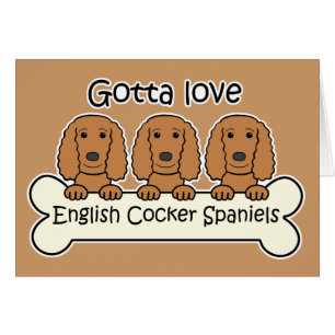 Three English Cocker Spaniels