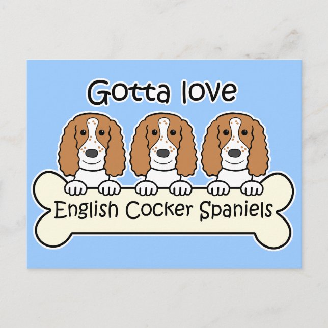 Three English Cocker Spaniels Postcard (Front)