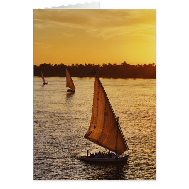 Three falukas with sightseers on Nile River at (Front)