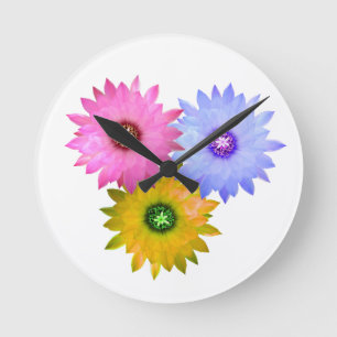 Three flowers of cactus round clock