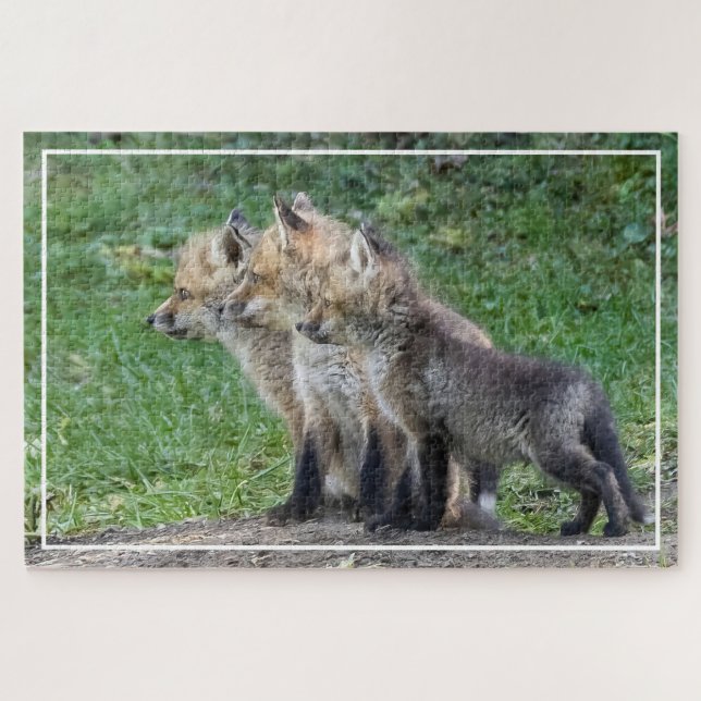 Three Fox Kits Jigsaw Puzzle (Horizontal)