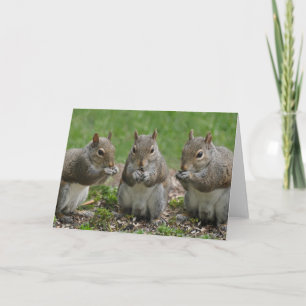 Three Friends Gossiping Card