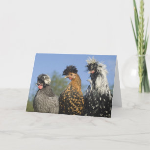 Three Funky Polish Chickens - Funny Birds Card
