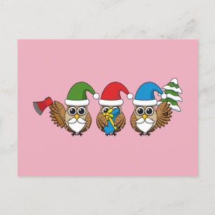Three Funny Christmas Gnome Owls Holiday Postcard