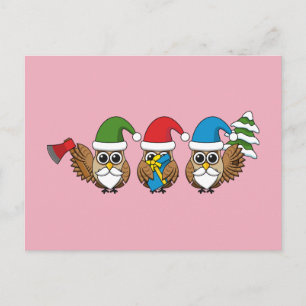 Three Funny Christmas Gnome Owls Holiday Postcard