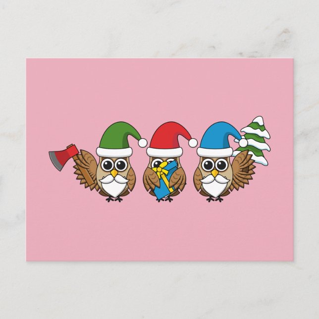 Three Funny Christmas Gnome Owls Holiday Postcard (Front)