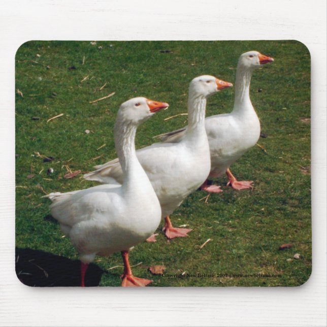 Three Geese a Strutting - Mousemat. Customise. Mouse Pad (Front)