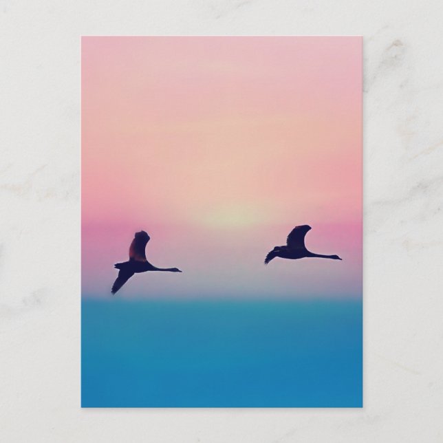 Three Geese In Flight Postcard (Front)