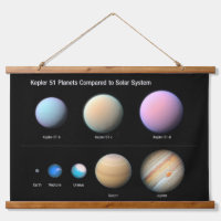 Three Giant Planets Orbiting Kepler 51