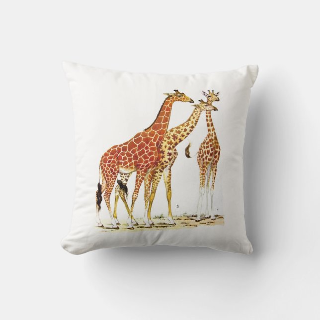 Three Giraffes Illustration Cushion (Front)