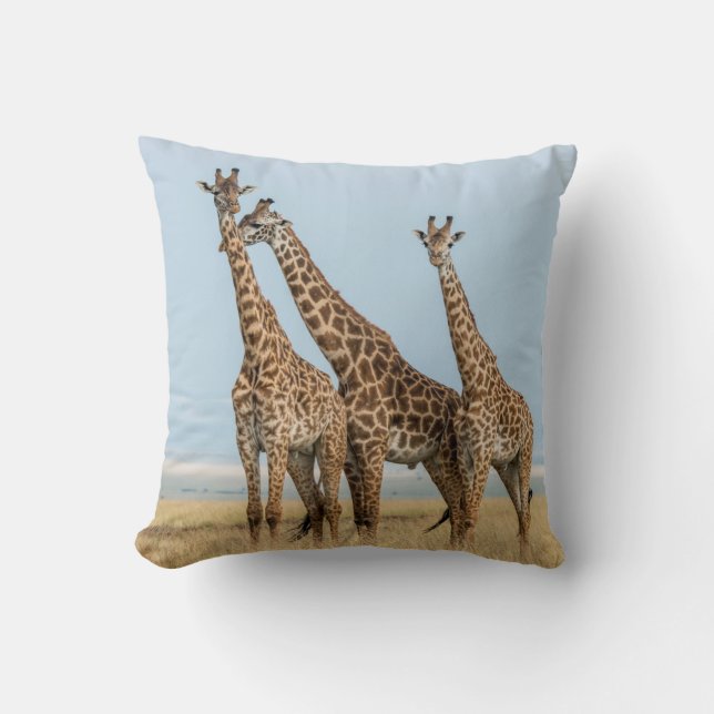 Three Giraffes Posing Cushion (Front)