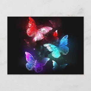 Three Glowing Butterflies on night background Holiday Postcard