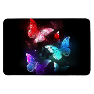 Three Glowing Butterflies on night background Magnet