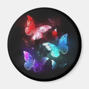 Three Glowing Butterflies on night background Magnet