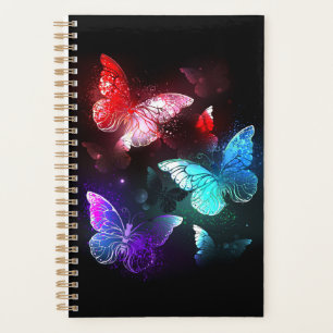 Three Glowing Butterflies on night background Planner