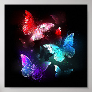 Three Glowing Butterflies on night background Poster