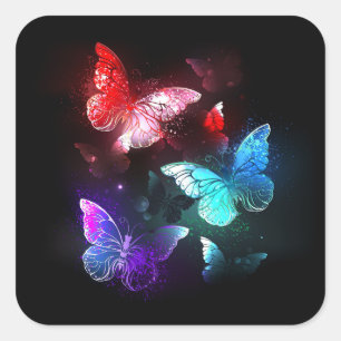 Three Glowing Butterflies on night background Square Sticker