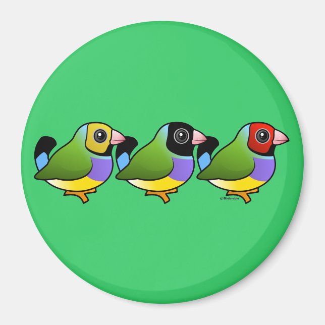 Three Gouldian Finches Magnet (Front)