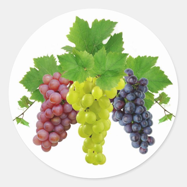 Three grapes classic round sticker (Front)