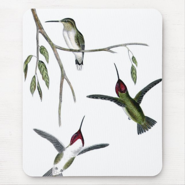 Three Green Hummingbirds Mouse Pad (Front)