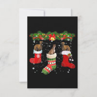 Three Greyhound Dog In Sock Christmas Santa