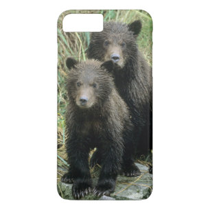 Three Grizzly Bear Cubs or Coys Case-Mate iPhone Case