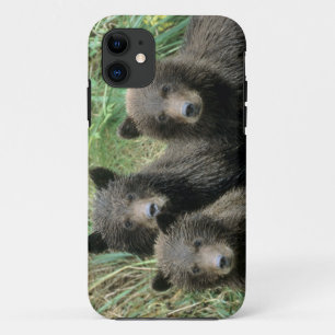 Three Grizzly Bear Cubs or Coys Case-Mate iPhone Case