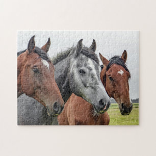 Three Horses Jigsaw Puzzle