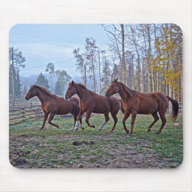 Three Horses Moving As One Horse-lover Photo Gift Mouse Pad (Front)