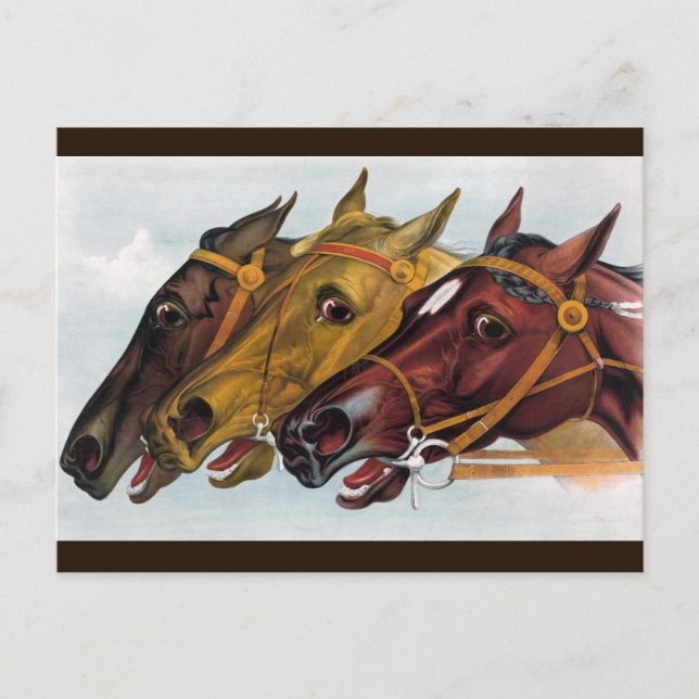 three horses postcard (Front)