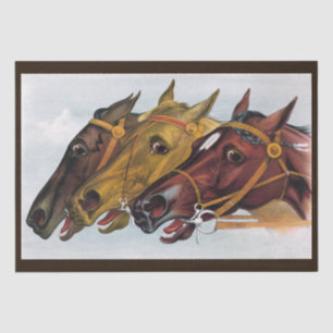 three horses tissue paper