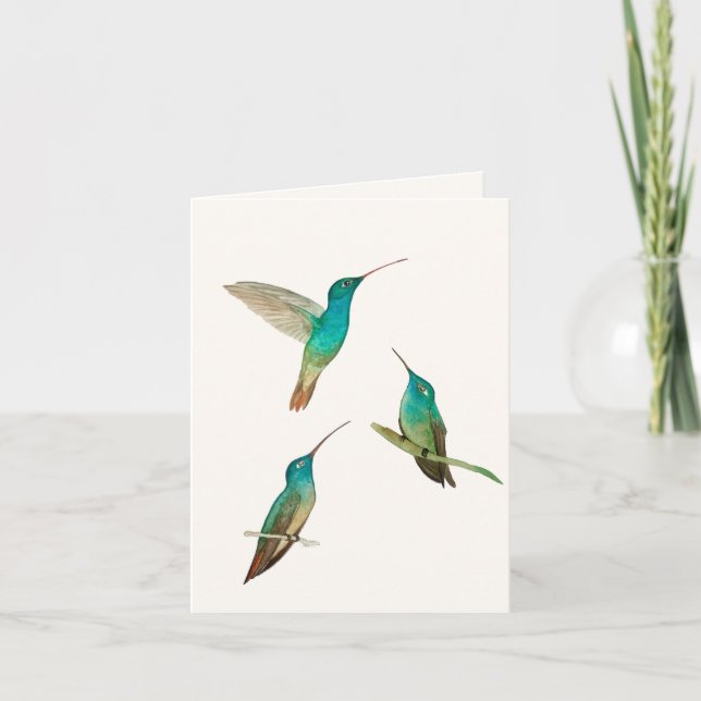 Three Hummingbirds Greeting Card (Front)