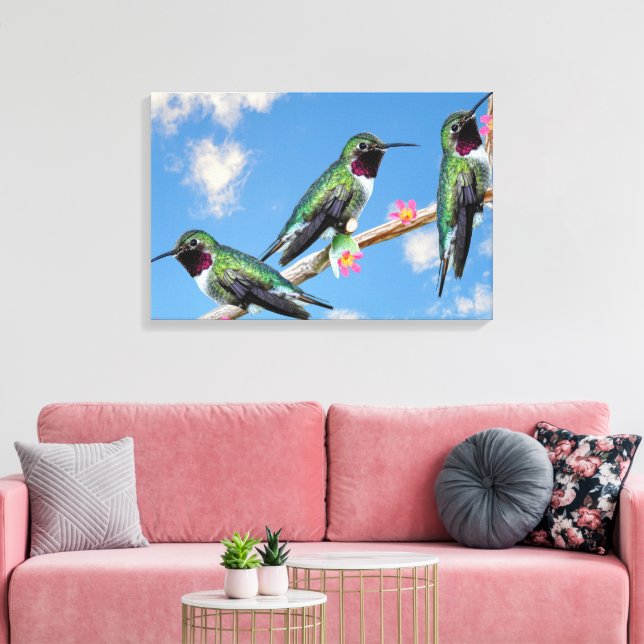 Three Hummingbirds perched on a branch of a Floss  Canvas Print (Insitu(LivingRoom))