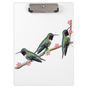 Three Hummingbirds perching on a branch Floss Silt Clipboard