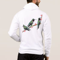 Three Hummingbirds perching on a branch Floss Silt