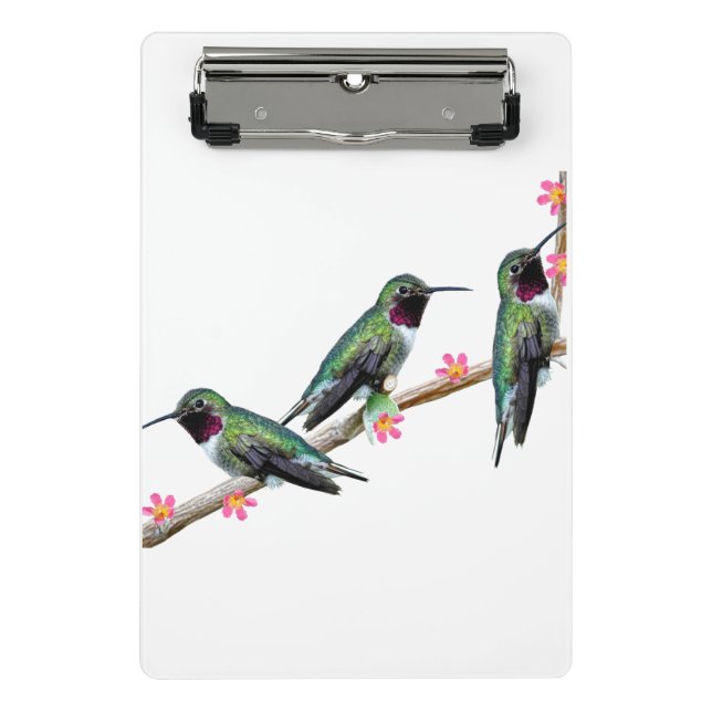 Three Hummingbirds perching on a branch Floss Silt Mini Clipboard (Front)