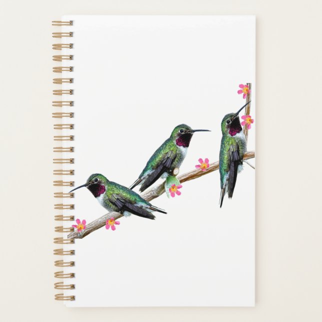Three Hummingbirds perching on a branch Floss Silt Planner (Front)