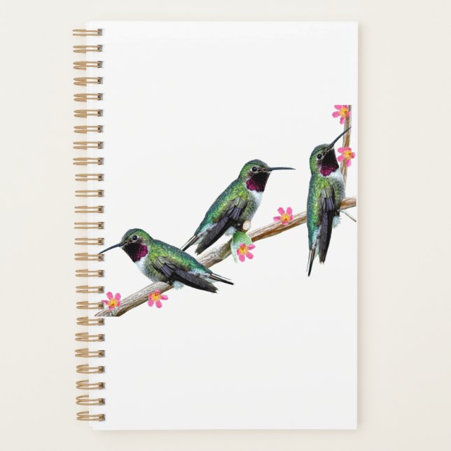 Three Hummingbirds perching on a branch Floss Silt Planner (Front)
