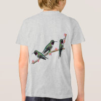Three Hummingbirds perching on a branch Floss Silt