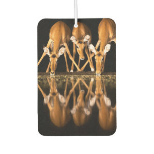 Three Impala Drink Together at Night Car Air Freshener
