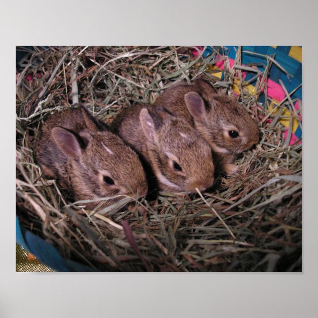 Three In A Row Poster (Front)