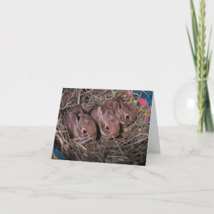 Three In A Row Thank You Card