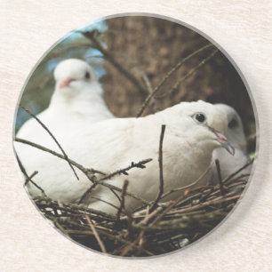 Three in a Tree Coaster