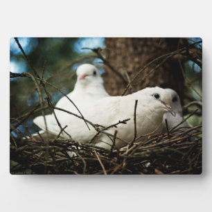 Three in a Tree Plaque