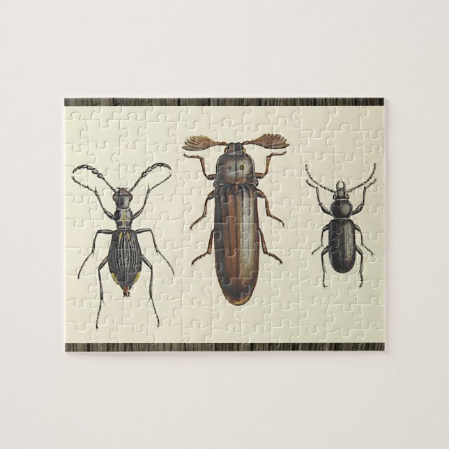Three Insects Puzzle (Horizontal)