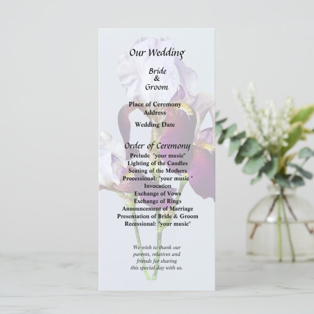 Three Irises in Shades of Magenta Programme (Standing Front)