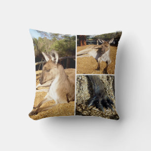 Three Kangaroo Images Collage, Cushion