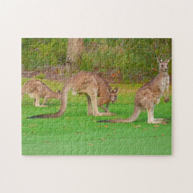 three kangaroos jigsaw puzzle (Horizontal)