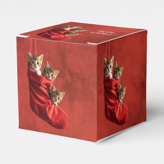 Three kittens in a Christmas Stocking Favour Box (Front Side)